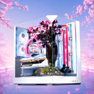 Aftershock Cherry Bloom