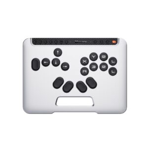 BIGBIG WON Fight Master Leverless Controller