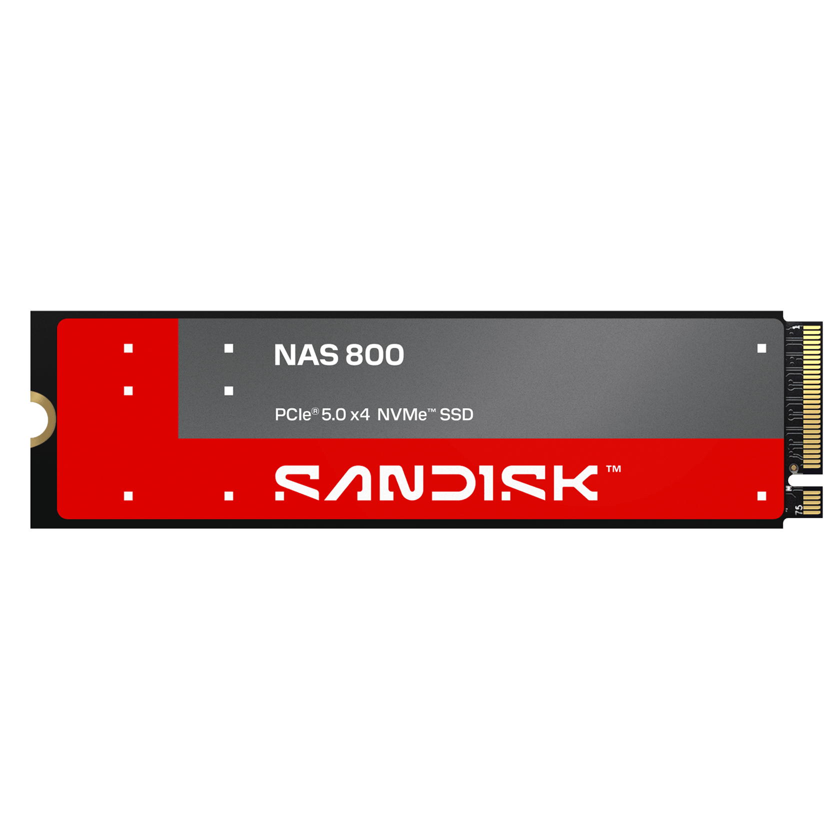 SanDisk NAS 800 1.92TB NVMe SSD
